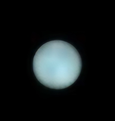 Neptune et Triton par Makrem Larnaout et Daniel H. DRISS